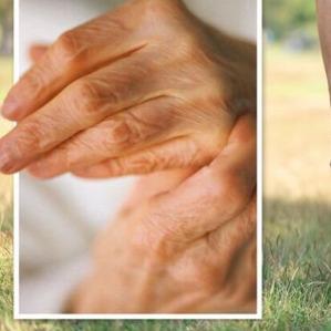 Exodus Effect Reviews 2024 : Waste of Money?