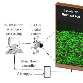 Orientation Study of Fluidised Bed Particles