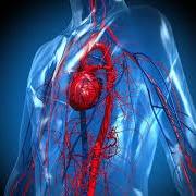 Bazopril Reviews : What Are They?